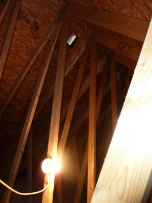 attic